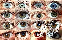 ۸ عضو بدن که بیانگر ویژگیهای شخصیتی هستند ۸ عضو بدن که بیانگر ویژگیهای شخصیتی هستند